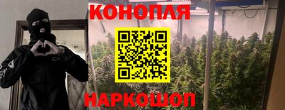 шишки Рязань