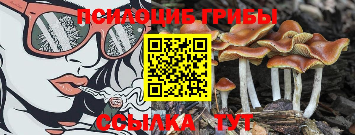 Советский  Галлюциногенные грибы прущие грибы  Вход с VPN 