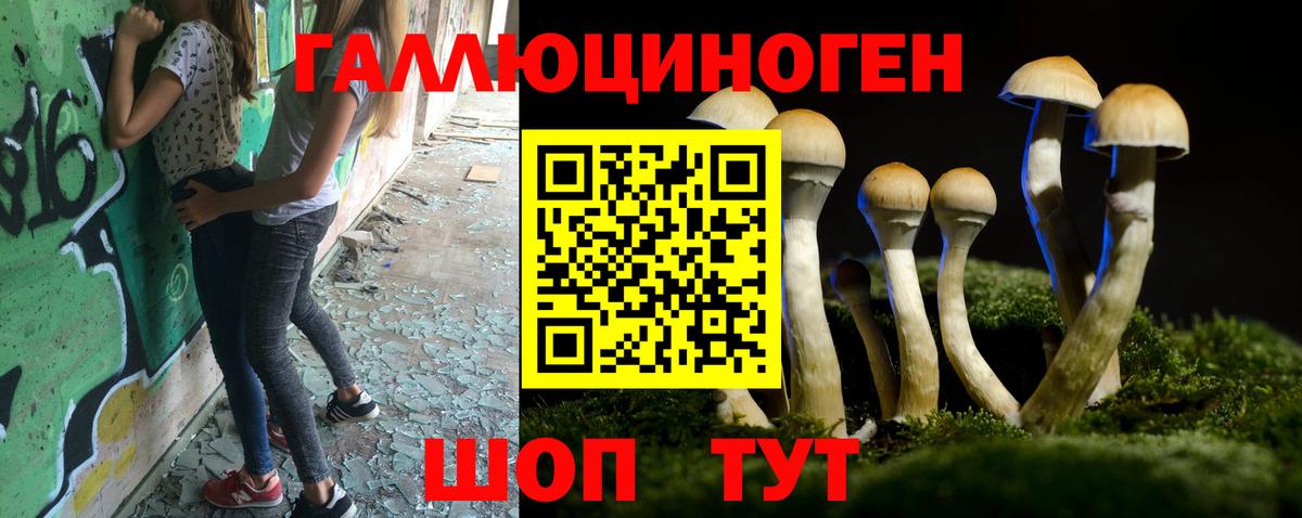 Галлюциногенные грибы MAGIC MUSHROOMS Советский